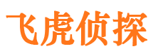 新平外遇调查取证